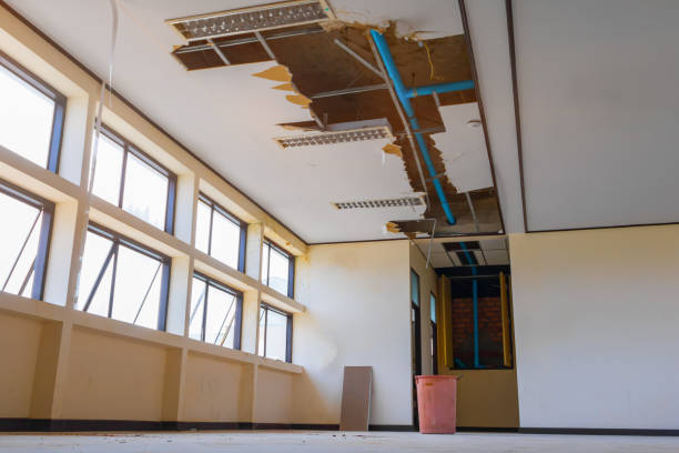 Best 24/7 water damage repair  in River Road, OR