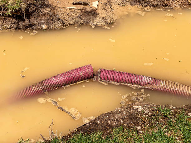 Best Water damage contractors near me  in River Road, OR